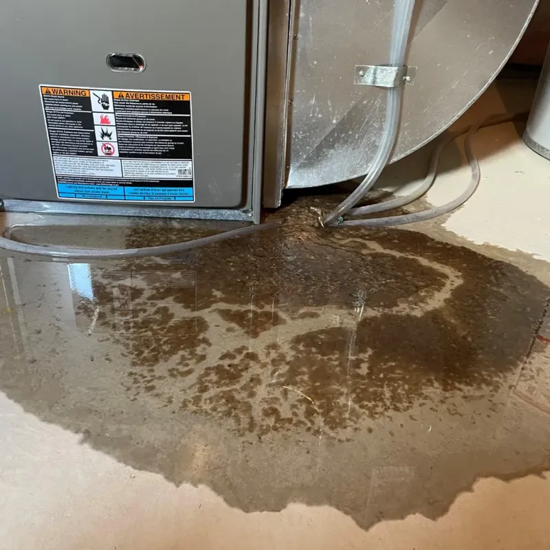 Appliance Leak Cleanup in Baden, PA