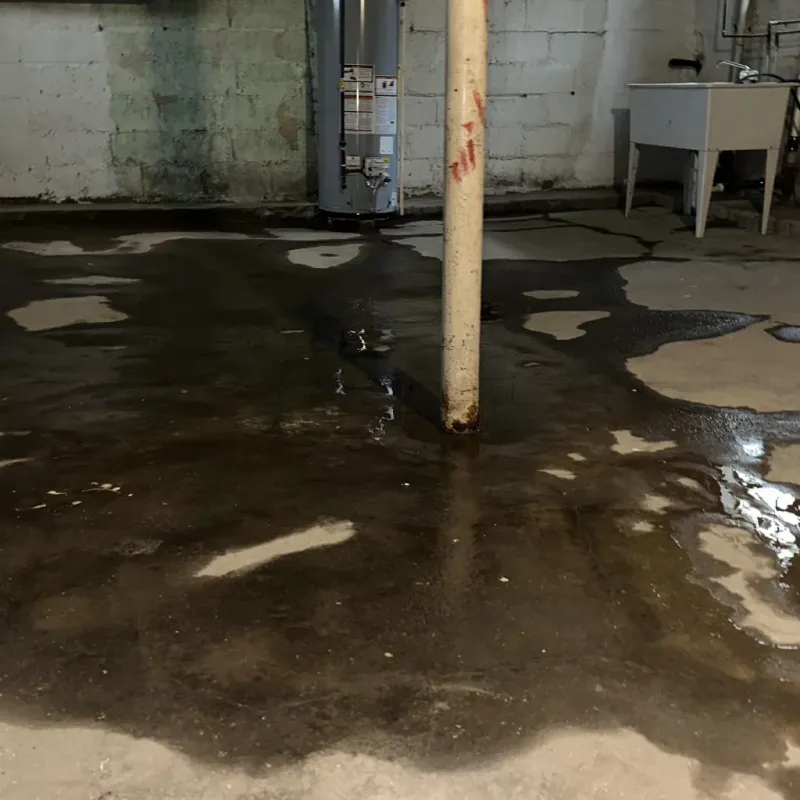 Emergency Water Extraction And Removal in Baden, PA